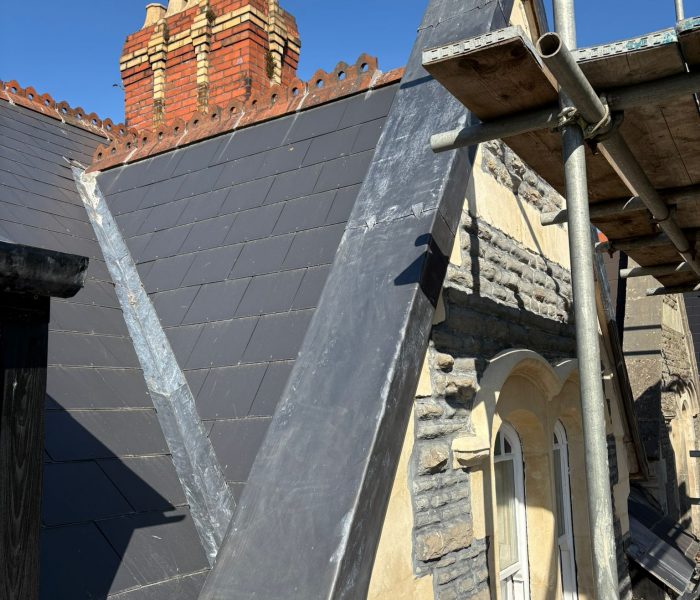 WhatsApp Image 2026-01-23 at 11.49.36 AM (1)