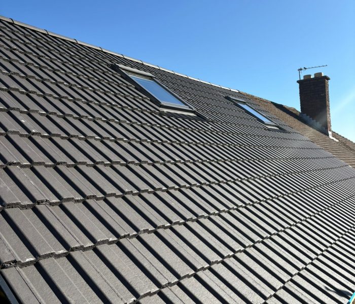 WhatsApp Image 2026-01-23 at 11.49.49 AM (3)