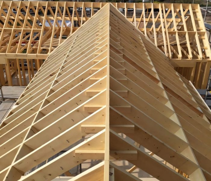 WhatsApp Image 2026-01-23 at 11.49.50 AM